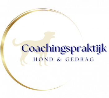 https://coachingspraktijkhondengedrag.nl/