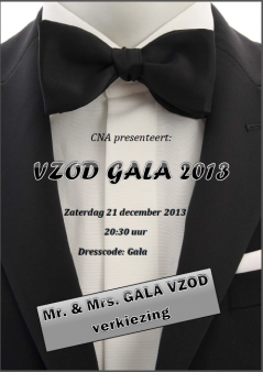 VZOD Gala 2013